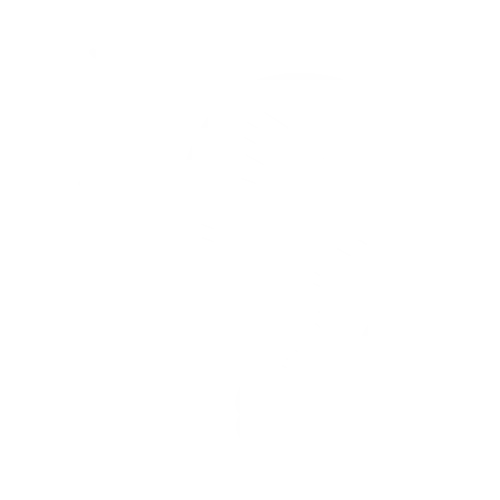social-media-positionierung